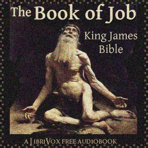 Bible (KJV) 18: Job (version 3) - King James Version - Free Audio Books Online Audiobooks in English