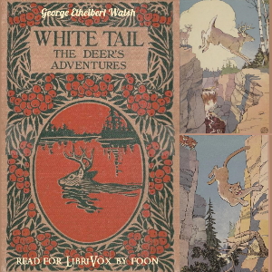 White Tail the Deer's Adventures - George Ethelbert Walsh - Free Audio Books Online Audiobooks in English