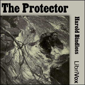 The Protector - Harold BINDLOSS - Free Audio Books Online Audiobooks in English