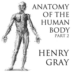 Anatomy of the Human Body, Part 2 (Gray's Anatomy) - Henry Gray - Free Audio Books Online Audiobooks in English