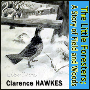 The Little Foresters; A Story of Field and Woods - Clarence Hawkes - Free Audio Books Online Audiobooks in English