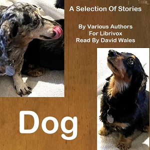 Dog: A Selection of Stories - Various - Free Audio Books Online Audiobooks in English