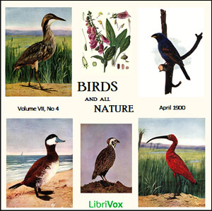 Birds and All Nature, Vol. VII, No 4, April 1900 - Various - Free Audio Books Online Audiobooks in English