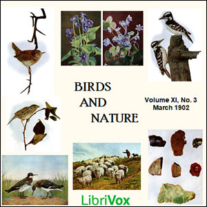 Birds and Nature, Vol. XI, No 3, March 1902 - Various - Free Audio Books Online Audiobooks in English