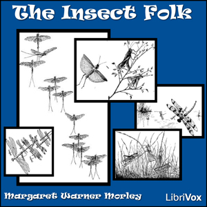 The Insect Folk - Margaret Warner Morley - Free Audio Books Online Audiobooks in English