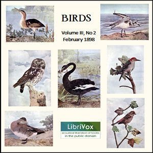 Birds, Vol. III, No 2, February 1898 - Various - Free Audio Books Online Audiobooks in English