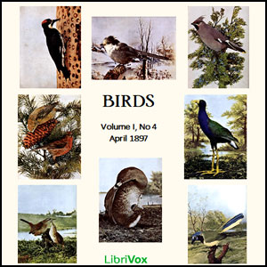 Birds, Vol. I, No 4, April 1897 - Various - Free Audio Books Online Audiobooks in English