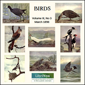 Birds, Vol. III, No 3, March 1898 - Various - Free Audio Books Online Audiobooks in English