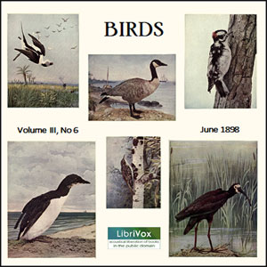 Birds, Vol. III, No 6, June 1898 - Various - Free Audio Books Online Audiobooks in English