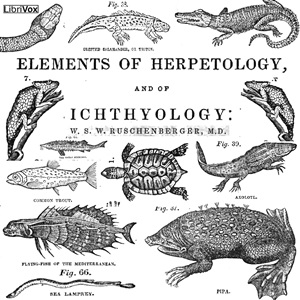 The Elements of Herpetology and Ichthyology - William Ruschenberger - Free Audio Books Online Audiobooks in English