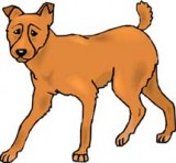 Old Sultan - Brothers Grimm - Free Audio Books Online Audiobooks in English