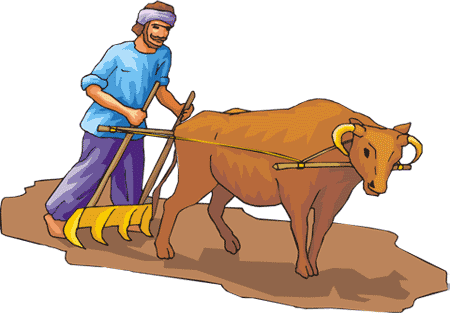 The Bull and the Donkey - 1001 nights - Free Audio Books Online Audiobooks in English