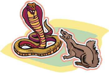 Rikki-tikki-tavi Part One - Rudyard Kipling - Free Audio Books Online Audiobooks in English