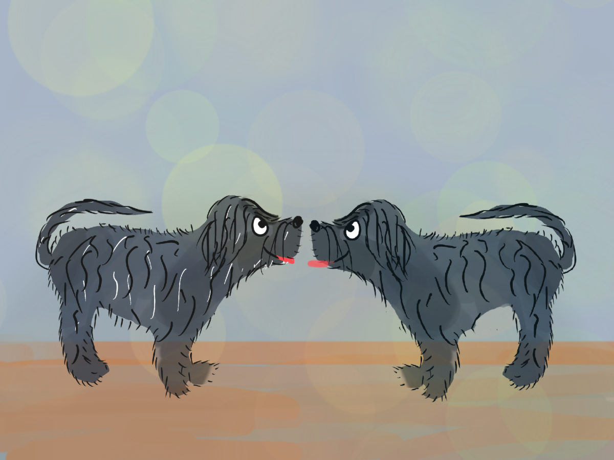 Astropup and the Teletransporter Part 2 - Astropup - Free Audio Books Online Audiobooks in English