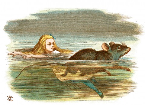 Alice, Chapter 2: The Pool of Tears - Alice in Wonderland - Free Audio Books Online Audiobooks in English