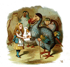 Alice in Wonderland Chapter 3 - Alice in Wonderland - Free Audio Books Online Audiobooks in English