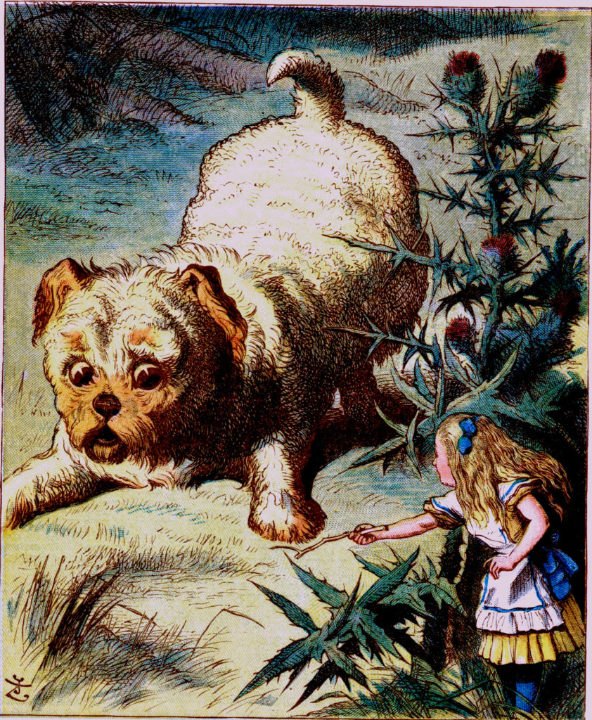 Alice in Wonderland Chapter 4 - Alice in Wonderland - Free Audio Books Online Audiobooks in English