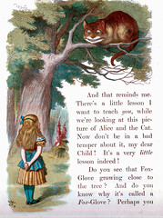 Alice in Wonderland Chapter 6 - Alice in Wonderland - Free Audio Books Online Audiobooks in English