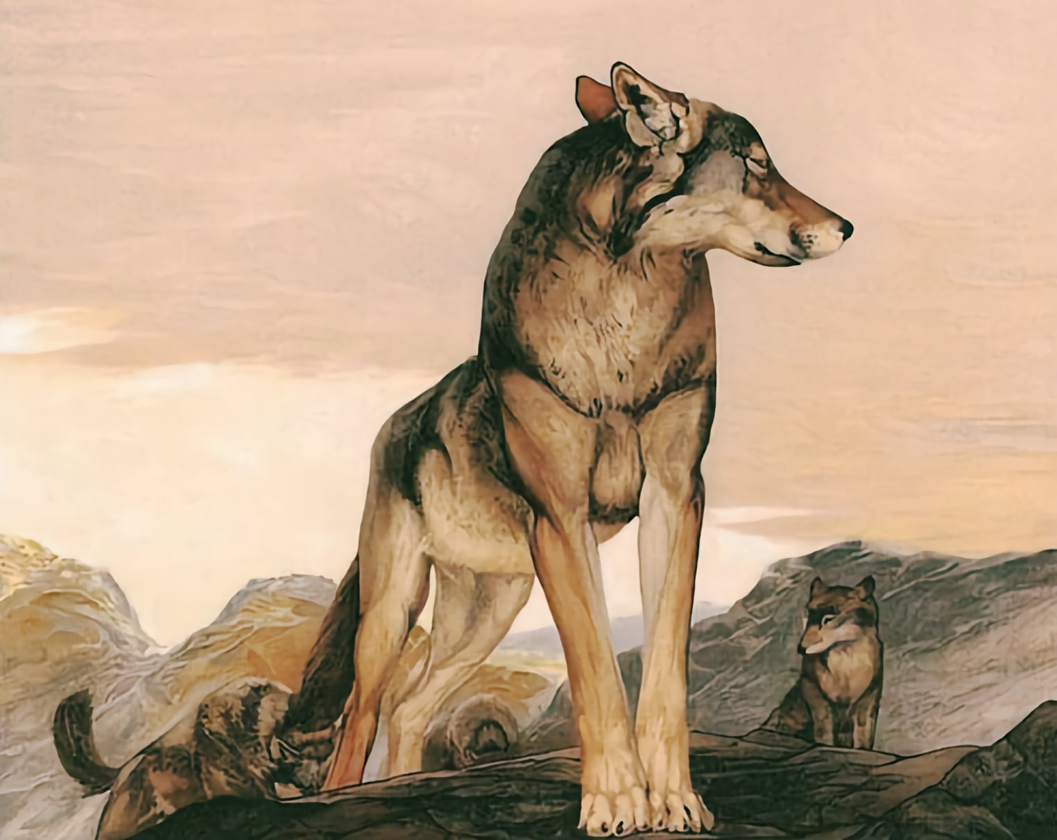 The Jungle Book – Part 2 - Rudyard Kipling - Free Audio Books Online Audiobooks in English