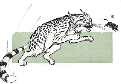 Chapter 9, Wizard of Oz - The Wizard of Oz by L. Frank Baum - Free Audio Books Online Audiobooks in English