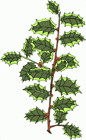 The Secret Garden Chapter 10 - The Secret Garden - Free Audio Books Online Audiobooks in English