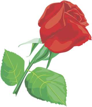 The Secret Garden Chapter 17 - The Secret Garden - Free Audio Books Online Audiobooks in English