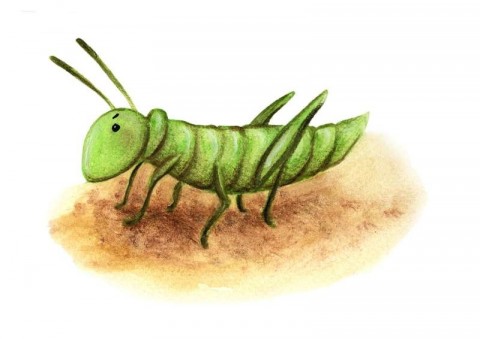 Pinocchio Chapter 4: The Talking Cricket - Pinocchio - Free Audio Books Online Audiobooks in English