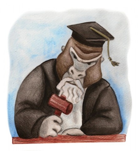 Pinocchio, Chapter 19: The Judge - All Stories - Free Audio Books Online Audiobooks in English