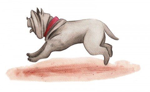 Pinocchio, Chapter 27: The Fight Among Boys - Pinocchio - Free Audio Books Online Audiobooks in English