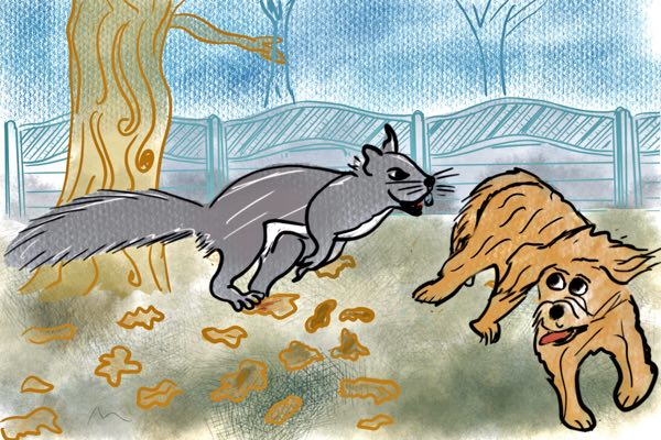 Katie and the Stray Dog - Katie, The Ordinary Witch - Free Audio Books Online Audiobooks in English