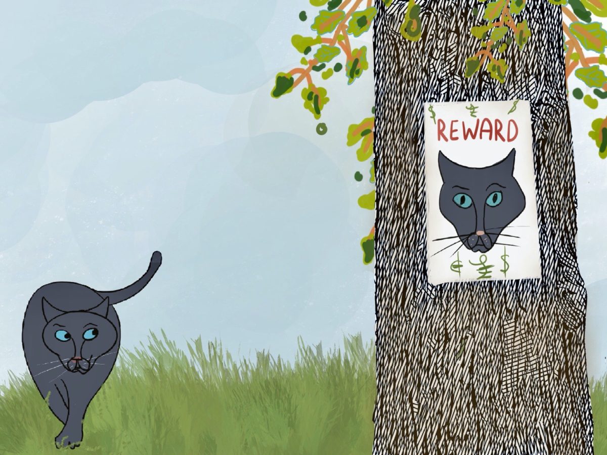 Solomon Takes a Walk - Katie, The Ordinary Witch - Free Audio Books Online Audiobooks in English