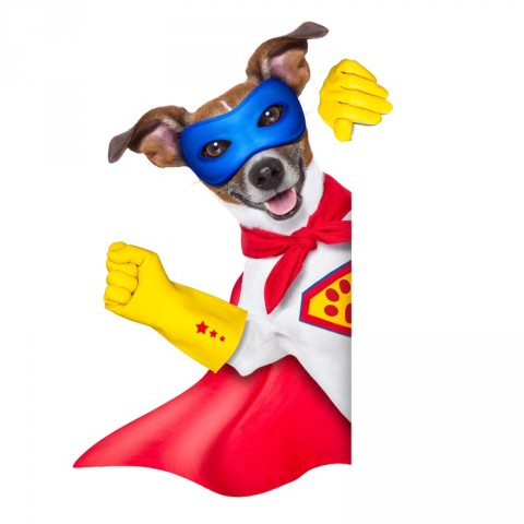 Astropup the Hero - Astropup - Free Audio Books Online Audiobooks in English