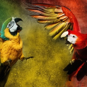 Astropup and the Bird Fight - Astropup - Free Audio Books Online Audiobooks in English