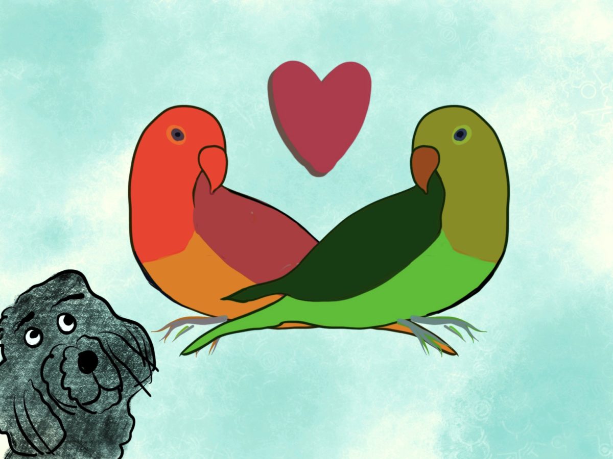 Astropup and the Parrot in Love - Astropup - Free Audio Books Online Audiobooks in English