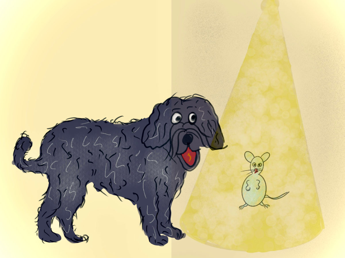 Astropup and the Teletransporter Part 1 - Astropup - Free Audio Books Online Audiobooks in English