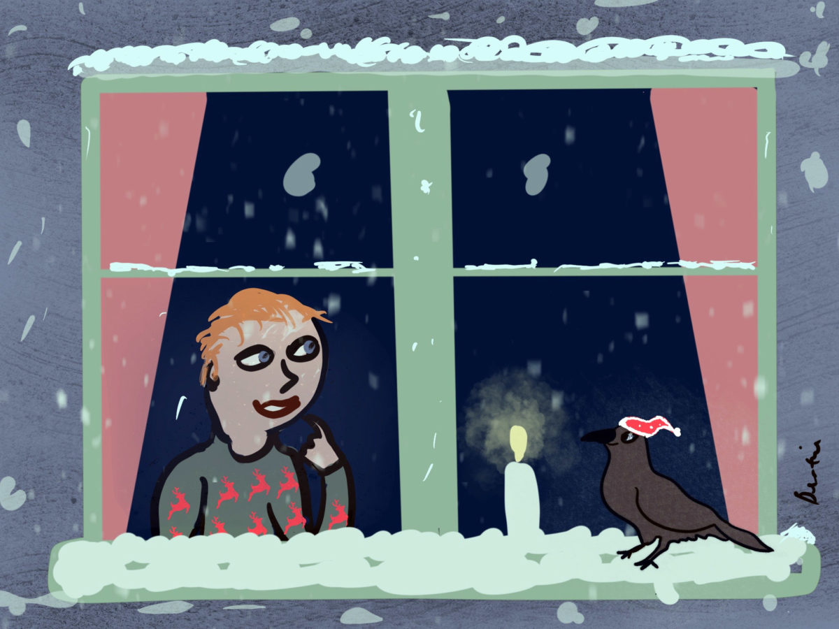 Birdy and the Christmas Power Cut - Birdy - Free Audio Books Online Audiobooks in English