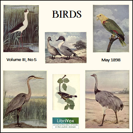Birds, Vol. III, No 5, May 1898 - Various - Free Audio Books Online Audiobooks in English