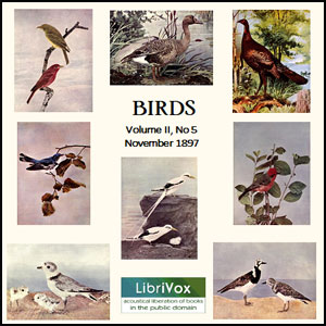 Birds, Vol. II, No 5, November 1897 - Various - Free Audio Books Online Audiobooks in English