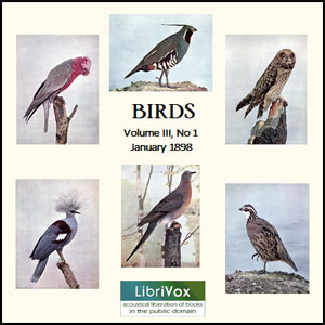 Birds, Vol. III, No 1, January 1898 - Various - Free Audio Books Online Audiobooks in English