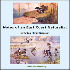 Notes of An East Coast Naturalist - Arthur Henry PATTERSON - Free Audio Books Online Audiobooks in English