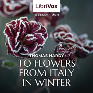 To Flowers From Italy In Winter - Thomas Hardy - Free Audio Books Online Audiobooks in English