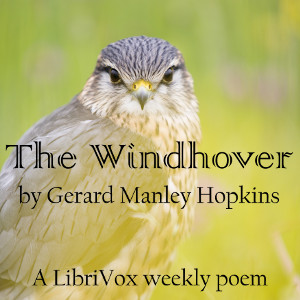 The Windhover - Gerard Manley Hopkins - Free Audio Books Online Audiobooks in English