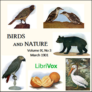Birds and Nature, Vol. IX, No 3, March 1901 - Various - Free Audio Books Online Audiobooks in English