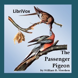 The Passenger Pigeon - William B. Mershon - Free Audio Books Online Audiobooks in English