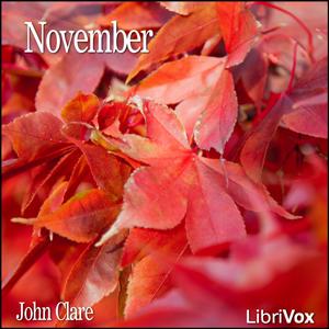 November - John Clare - Free Audio Books Online Audiobooks in English