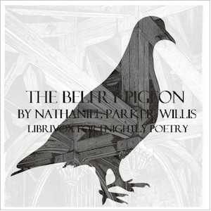 The Belfry Pigeon - Nathaniel Parker Willis - Free Audio Books Online Audiobooks in English