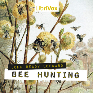 Bee Hunting - John Ready Lockard - Free Audio Books Online Audiobooks in English