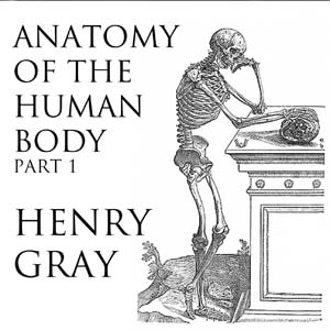 Anatomy of the Human Body, Part 1 (Gray's Anatomy) - Henry Gray - Free Audio Books Online Audiobooks in English