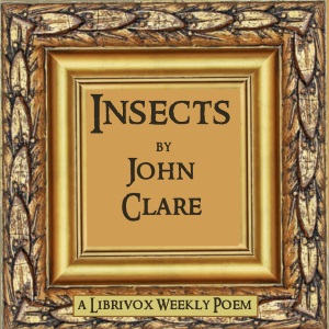 Insects - John Clare - Free Audio Books Online Audiobooks in English