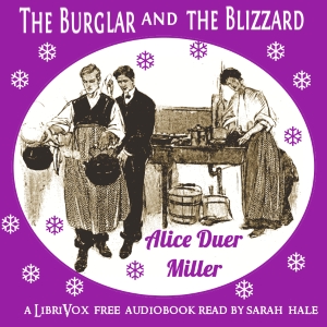 The Burglar and the Blizzard - Alice DUER MILLER - Free Audio Books Online Audiobooks in English